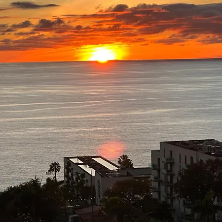 Forum Madeira Near Formosa *
